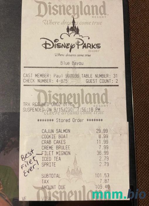 Disneyland Park przykładowy czek płatniczy PSD